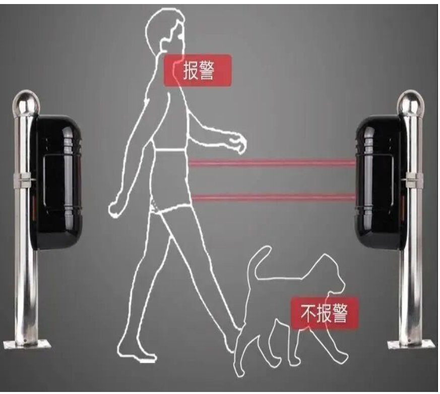 6a2c1b693f383.png image.png
